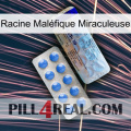 Racine Maléfique Miraculeuse 39